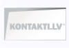 Leinonen Audit